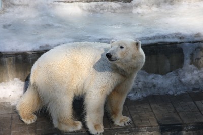 Файл 00275.jpg