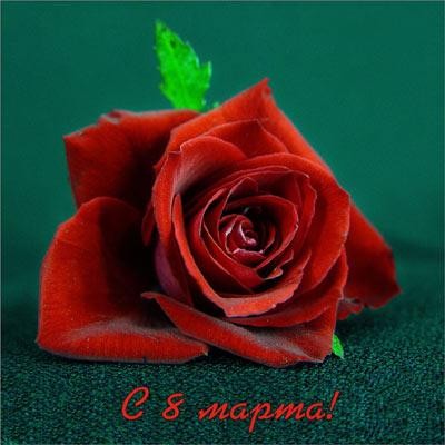 С 8 марта!2.JPG
