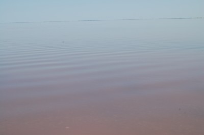 DSC_0961.JPG