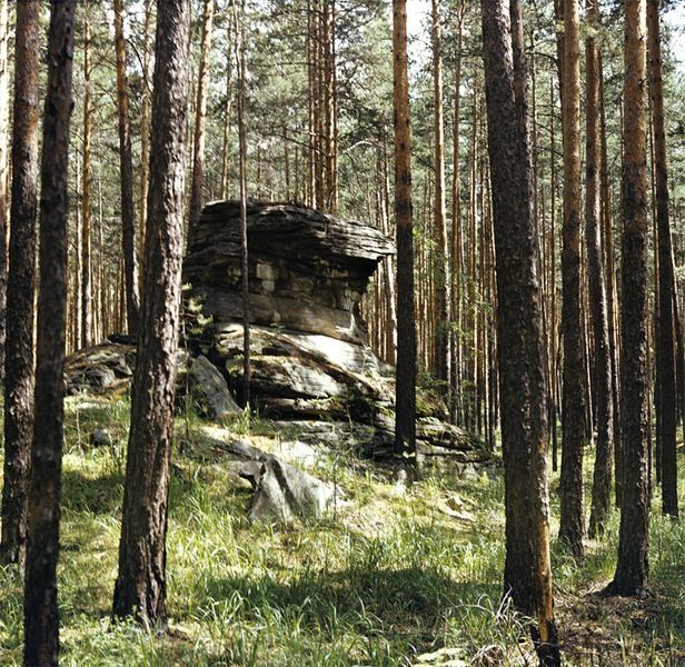 Опубликованное фото