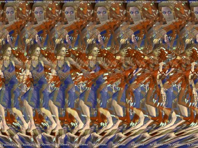 017.jpg