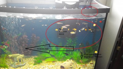 2014-07-01 22-28-39.JPG