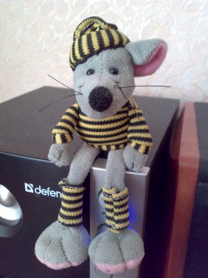 26012010084.jpg