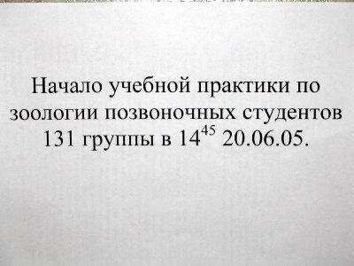 26_1.jpg