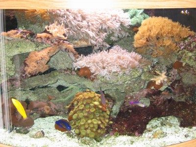 akvarium.jpg