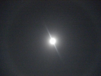 DSC00725.JPG