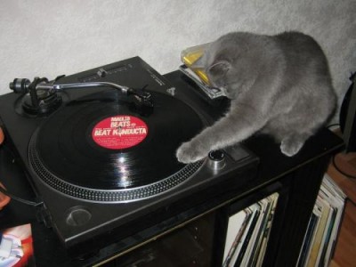 http___www.nnm.ru_imagez_gallery_humor_1132760479_i_8917.jpg