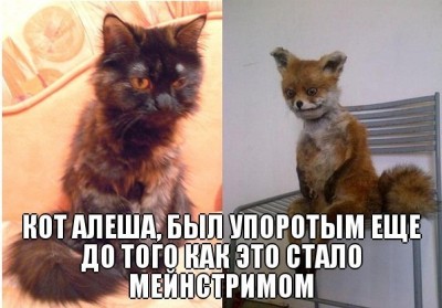 iAFY0NkrScE.jpg