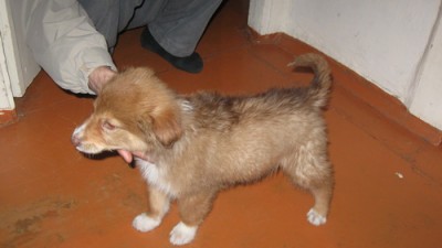 IMG_11.jpg