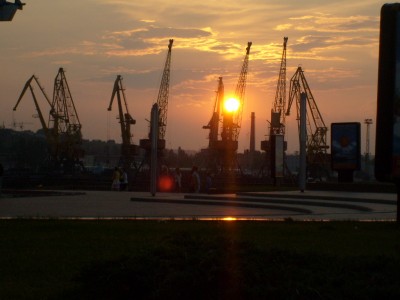 S6300526.JPG
