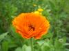 100_0081~2.JPG