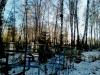 Файл=1107071453-00.JPG
Объём=434KB
Размеры=1280x960
Дата=Нояб 08, 2007 1107071453-00.JPG