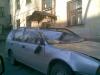 Файл=14042007(001).jpg
Объём=131KB
Размеры=1280x960
Дата=Сент 14, 2007 14042007(001).jpg