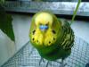 DSC00097.JPG