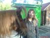 Файл=DSC00117.jpg
Объём=90KB
Размеры=640x480
Дата=Янв 10, 2008 DSC00117.jpg