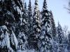 Файл=DSC00742.JPG
Объём=447KB
Размеры=1024x768
Дата=Июнь 07, 2007 DSC00742.JPG