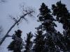 Файл=DSC00799.JPG
Объём=391KB
Размеры=1024x768
Дата=Июнь 07, 2007 DSC00799.JPG