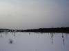 Файл=DSC00853.JPG
Объём=154KB
Размеры=1024x768
Дата=Июнь 07, 2007 DSC00853.JPG