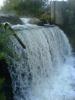 Файл=DSC01009.JPG
Объём=159KB
Размеры=960x1280
Дата=Нояб 03, 2007 DSC01009.JPG