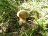 Файл=DSC01144-1.jpg
Объём=163KB
Размеры=600x451
Дата=Янв 30, 2007 DSC01144-1.jpg