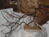 Файл=DSC03430izm.jpg
Объём=156KB
Размеры=1280x962
Дата=Апр 11, 2008 DSC03430izm.jpg