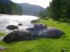 Файл=DSC04104.JPG
Объём=239KB
Размеры=1127x845
Дата=Авг 13, 2008 DSC04104.JPG