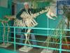 Файл=DSC06848.JPG
Объём=186KB
Размеры=1280x960
Дата=Янв 28, 2007 DSC06848.JPG