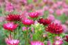 DSCN0468.jpg
