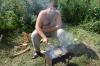 Файл=DSC_0553.JPG
Объём=201KB
Размеры=640x426
Дата=Авг 06, 2008 DSC_0553.JPG