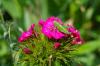 Файл=DSC_0859.jpg
Объём=195KB
Размеры=1024x681
Дата=Март 15, 2007 DSC_0859.jpg
