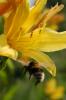 Файл=DSC_1046.jpg
Объём=122KB
Размеры=681x1024
Дата=Март 15, 2007 DSC_1046.jpg