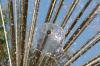 Файл=DSC_3341.jpg
Объём=169KB
Размеры=800x532
Дата=Дек 26, 2007 DSC_3341.jpg