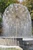 Файл=DSC_3365.jpg
Объём=257KB
Размеры=532x800
Дата=Дек 26, 2007 DSC_3365.jpg