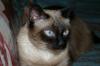 Файл=IMGP3588.JPG
Объём=90KB
Размеры=1280x853
Дата=Нояб 21, 2007 IMGP3588.JPG