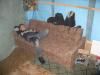 Файл=IMG_0973.jpg
Объём=129KB
Размеры=845x634
Дата=Нояб 08, 2007 IMG_0973.jpg