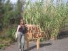 Файл=IMG_5138.JPG
Объём=346KB
Размеры=800x600
Дата=Окт 05, 2008 IMG_5138.JPG