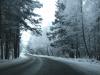 Файл=PICT1040.JPG
Объём=200KB
Размеры=768x576
Дата=Дек 15, 2007 PICT1040.JPG