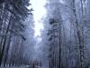 Файл=PICT1096.JPG
Объём=290KB
Размеры=768x576
Дата=Дек 11, 2007 PICT1096.JPG