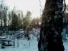 Файл=SP_A0048.jpg
Объём=197KB
Размеры=1024x768
Дата=Нояб 08, 2007 SP_A0048.jpg