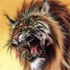 Файл=avatar4757.jpg
Объём=7KB
Размеры=100x100
Дата=Март 23, 2008 avatar4757.jpg